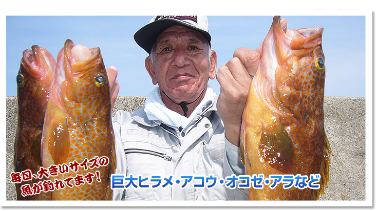 毎日大きいサイズの魚が釣れてます！巨大ヒラメ・アコウ・オコゼ・アラなど