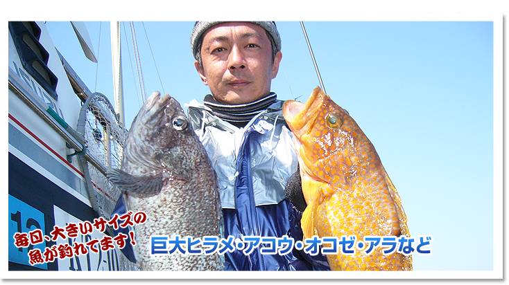 毎日大きいサイズの魚が釣れてます！巨大ヒラメ・アコウ・オコゼ・アラなど