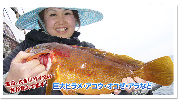 毎日大きいサイズの魚が釣れてます！巨大ヒラメ・アコウ・オコゼ・アラなど