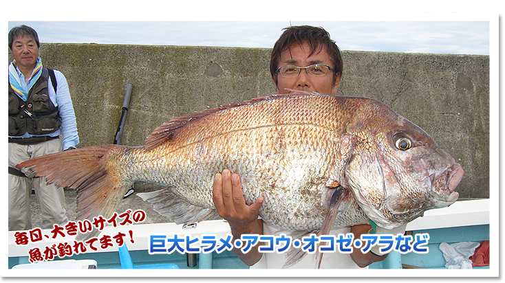 毎日大きいサイズの魚が釣れてます！巨大ヒラメ・アコウ・オコゼ・アラなど