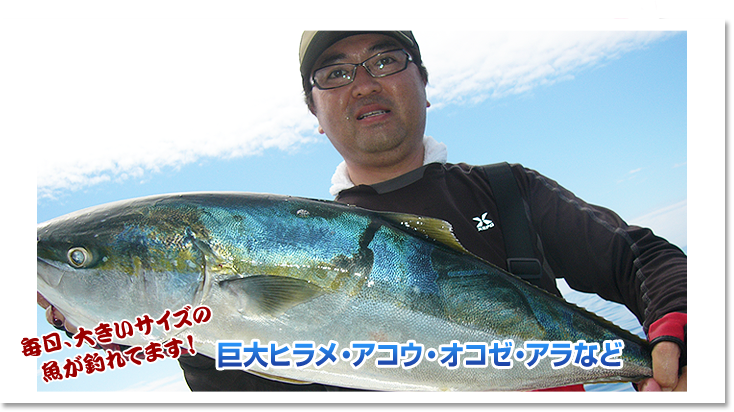 毎日大きいサイズの魚が釣れてます！巨大ヒラメ・アコウ・オコゼ・アラなど