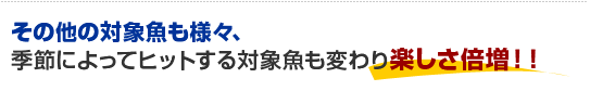 その他の対象魚も様々、季節によってヒットする対象魚も変わり楽しさ倍増！！