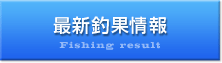 最新釣果情報