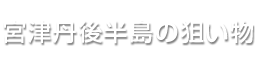 宮津丹後半島の狙い物