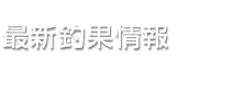 最新釣果情報