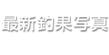 最新釣果写真